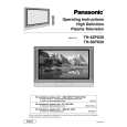 PANASONIC TH42PX20 Instrukcja Obsługi