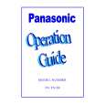 PANASONIC NVFS100 Instrukcja Obsługi