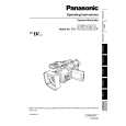 PANASONIC AGDVX100B Instrukcja Obsługi