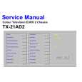 PANASONIC TX21AD2 Instrukcja Serwisowa