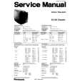 PANASONIC TX29AD10C Instrukcja Serwisowa