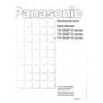 PANASONIC TX25GF10 Instrukcja Obsługi