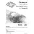PANASONIC SVSR100 Instrukcja Obsługi