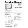 PANASONIC TX25G1 Instrukcja Serwisowa