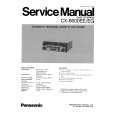 PANASONIC CX6600EE/EG Instrukcja Serwisowa
