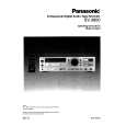 PANASONIC SV-3800 Instrukcja Obsługi